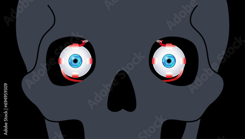 Extraocular muscles anatomy