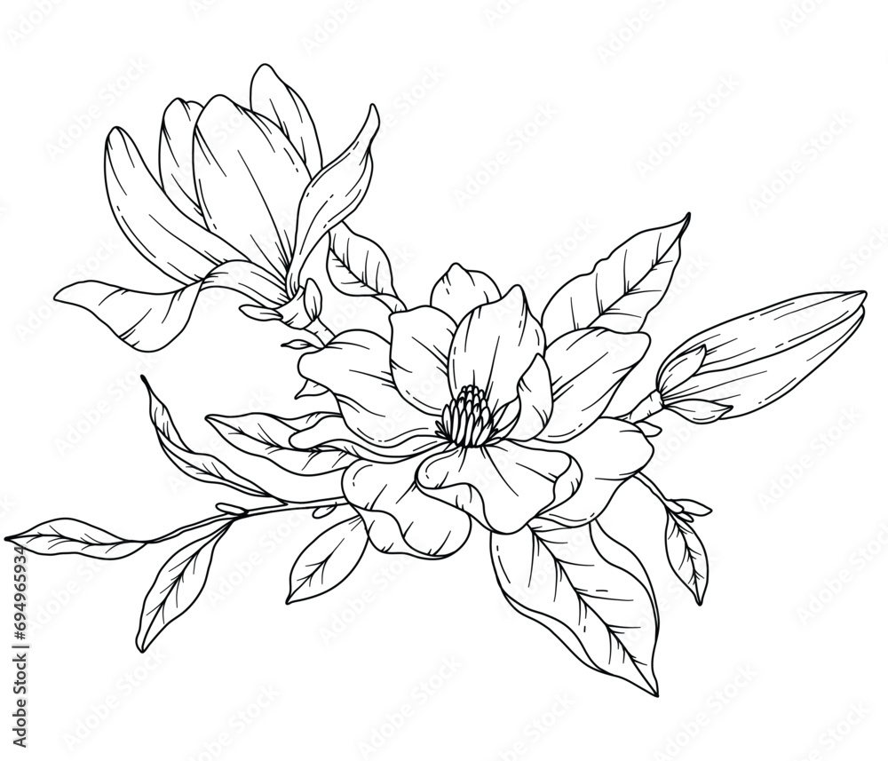 Fototapeta premium Magnolia Line Drawing. Black and white Floral Bouquets. Flower Coloring Page. Floral Line Art. Fine Line Magnolia illustration. Hand Drawn flowers. Botanical Coloring. Wedding invitation flowers