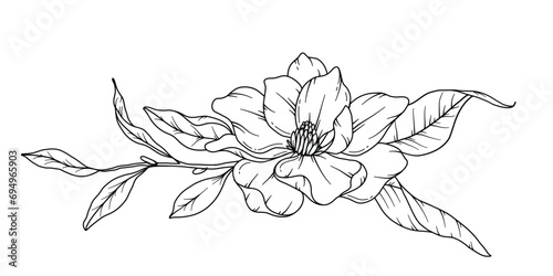 Magnolia Line Drawing. Black and white Floral Bouquets. Flower Coloring Page. Floral Line Art. Fine Line Magnolia  illustration. Hand Drawn flowers. Botanical Coloring. Wedding invitation flowers