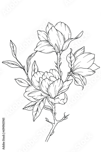 Magnolia Line Drawing. Black and white Floral Bouquets. Flower Coloring Page. Floral Line Art. Fine Line Magnolia  illustration. Hand Drawn flowers. Botanical Coloring. Wedding invitation flowers