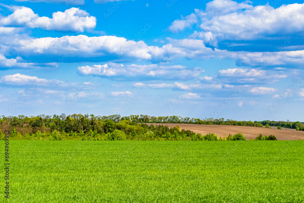 Beautiful horizon scenery in village meadow on color natural background