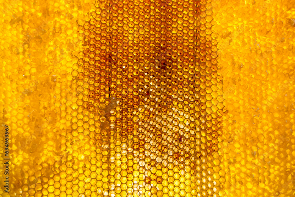 Drop of bee honey drip from hexagonal honeycombs filled with golden nectar - obrazy, fototapety, plakaty 
