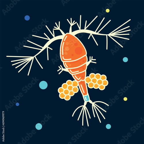 Plankton aquatic biology microorganism marine fauna algae freshwater germ vector flat