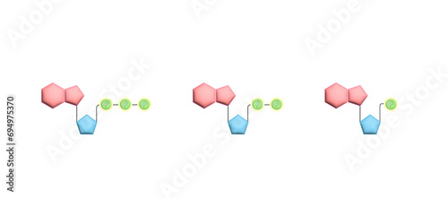 Adenosine Triphosphate (ATP) molecule. Adenosine Diphosphate (ADP) and AMP. Adenine, Ribose and phosphate. Energy production. Scientific Design. Vector Illustration.