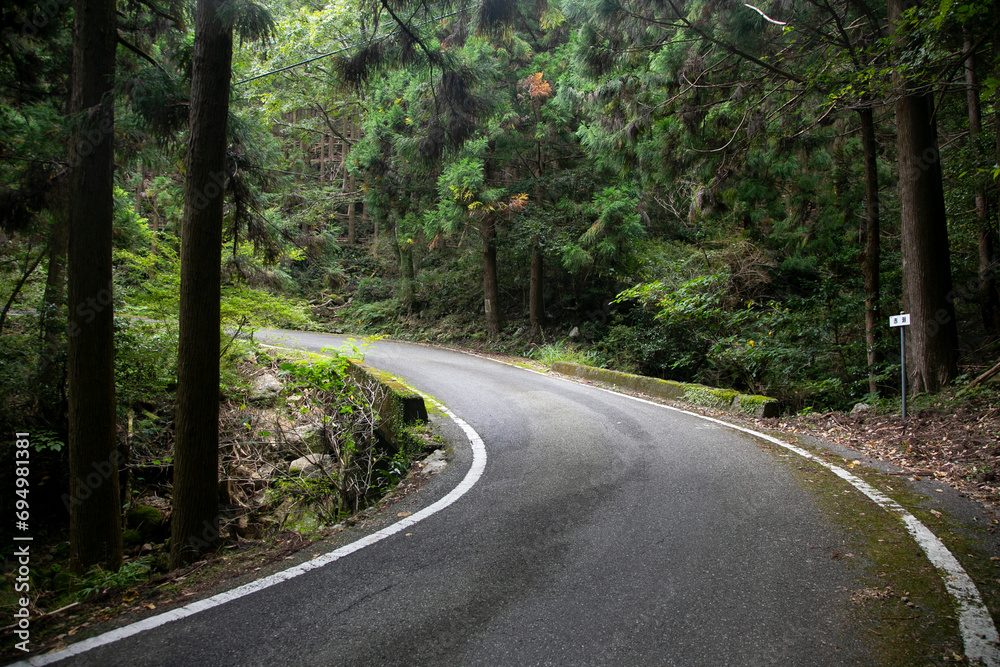Obraz premium Winding roads in the mountains of the Wakayama Peninsula in Japan