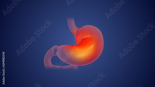 Quadro su tela Human stomach anotomy medical concept