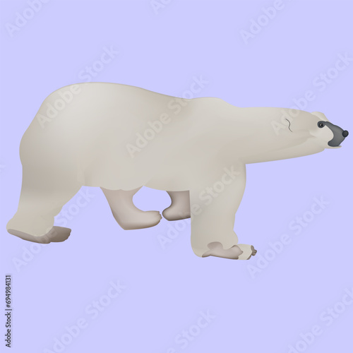 A big  strong bear  drawn from the side. The animal stands on its paws  turning its head in the direction of its body.