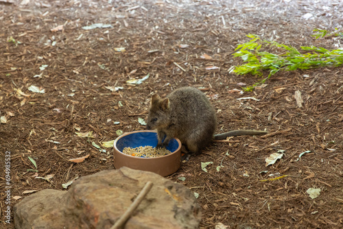 eating in the zoo photo