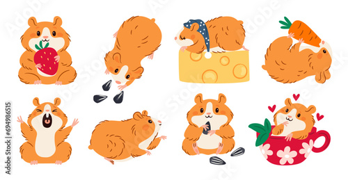 Cute hamster. Little animal. Rodent mascot. Different actions and poses. Domestic rat eats seeds or cheese. Pet holding strawberries and carrots. Adorable mammal in cup. Garish vector set © VectorBum