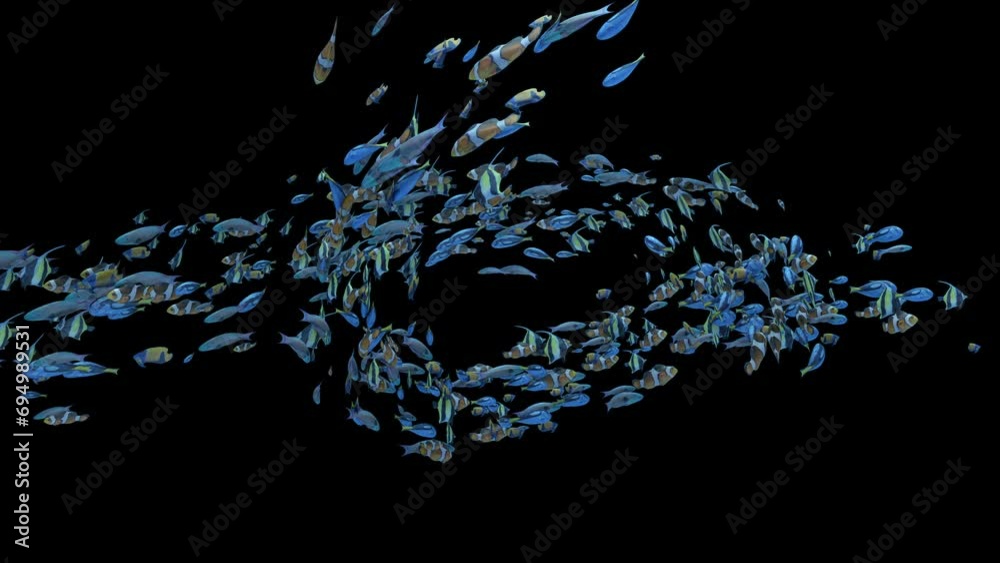 Underwater school of colorful fish loop swimming to the center logo reveal with transparency