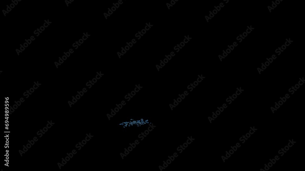 underwater flock of colorful fish swimming in a circle infinite loop with transparency underwater flock of colorful fish swimming in a circle infinite loop with transparency