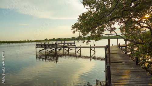 Wooden bridge at Tung Prong Thong Golden Mangrove Field in sunset  Pra Sae  Rayong  Thailand. wooden bridge in a mangrove forest.