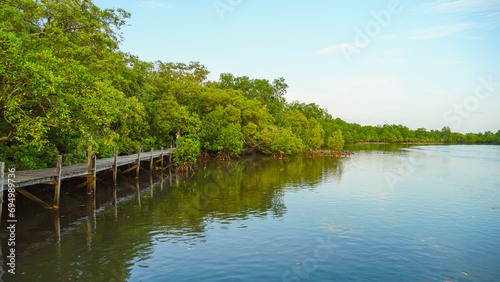 Wooden bridge at Tung Prong Thong,Golden Mangrove Field in sunset, Pra Sae, Rayong, Thailand. wooden bridge in a mangrove forest.
