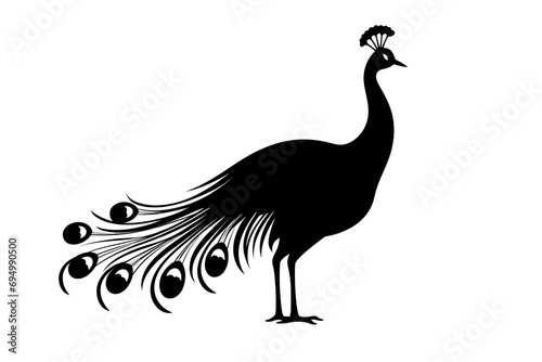 illustration of a peacock