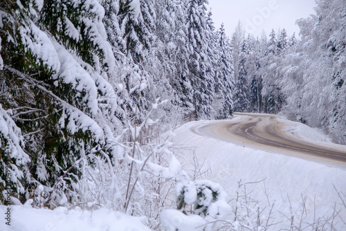 Winding road with snow in a spruce forest.