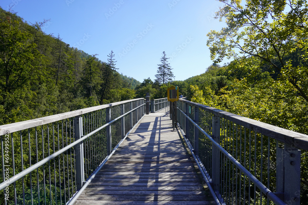 Fototapeta premium Weg im Baumwipfelpfad in Bad Harzburg im Harz in Deutschland