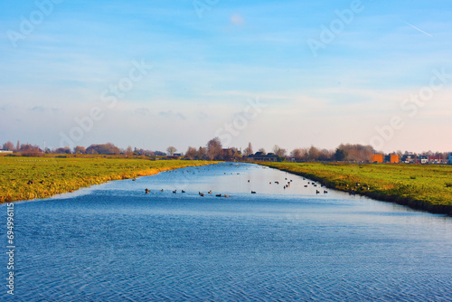 Dutch polder view