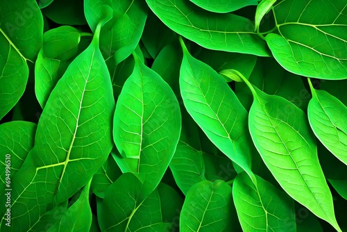 green leaf background © Sawagii