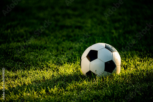 A soccer ball in the gras with a shaft of sunlight