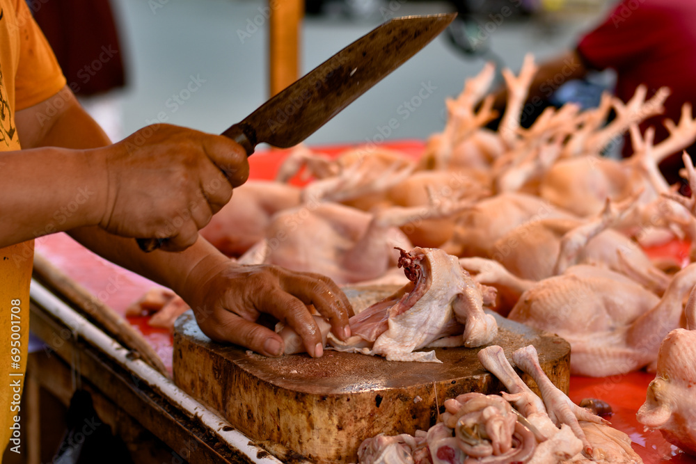 Close-up of a Poultry Seller's Hand at a Traditional Market