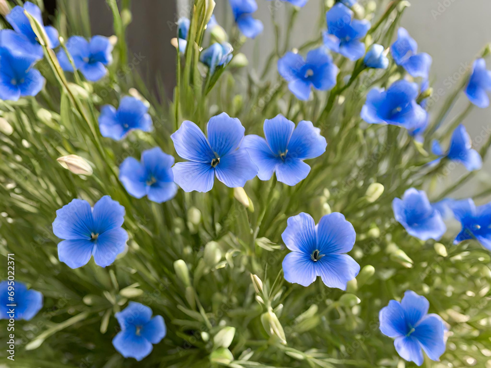 blue light flowers in the field
