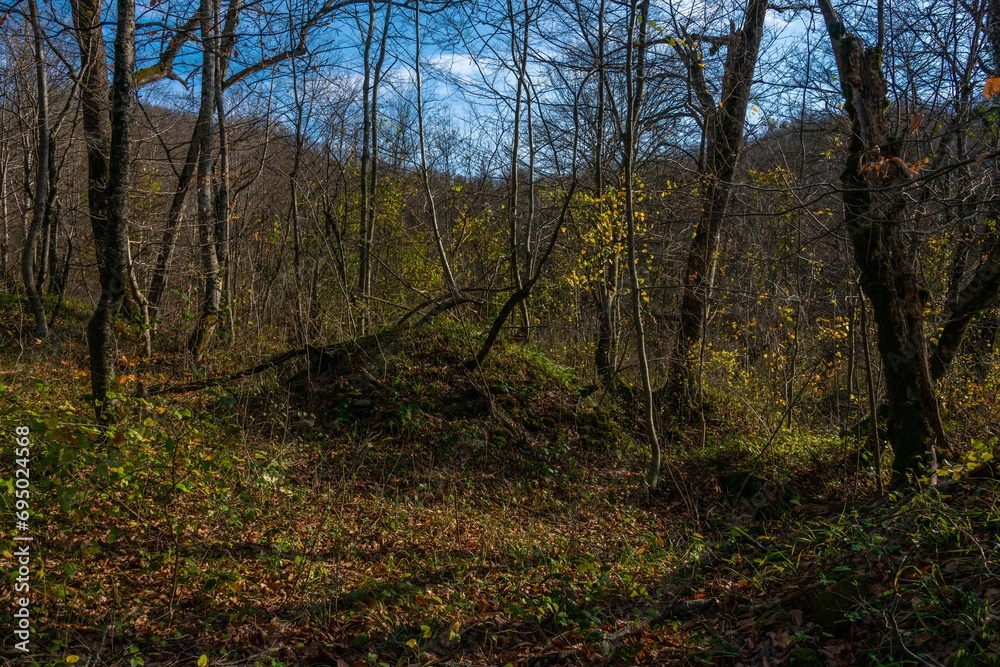 Fototapeta premium a pair of ancient burials in the form of small mounds in the forest among the mountains of the Western Caucasus on a sunny day in December