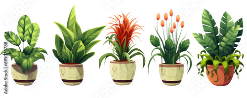 Collection of different plant in a pot isolated on white or transparent background