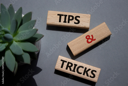 Tips and tricks symbol. Wooden blocks with words Tips and tricks. Beautiful grey background with succulent plant. Business concept and Tips and tricks. Copy space.