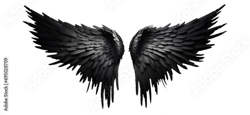 Black fantasy feather wings - pair of black angelical wings - isolated transparent PNG background - black wing photo