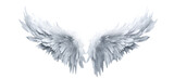 White fantasy feather wings - pair of white angelical wings - isolated transparent PNG background - white wing