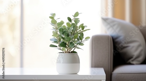 A close up of eucalyptus plant in a jar on a table
