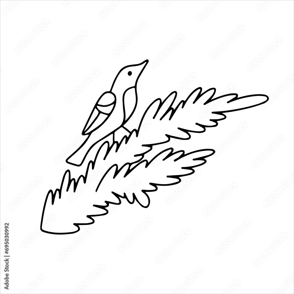 Vector doodle. Bird on a spruce branch. Coloring book for children