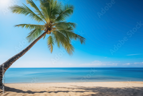 sandy beach with blue sky and tree palm  summer  clear day  idyll