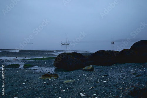 sailboats anchored in hardy bay on a foggy winter morning