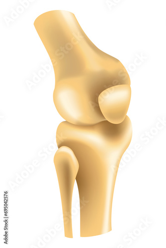 Human joints vector icons for orthopedics and surgery medical design. Vector isolated icon of leg knee or arm and hand joints with cartilage synovial fluid for orthopedics treatment medicine