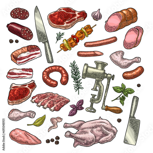 Set meat products and kitchen equipment. Brisket, sausage, meat grinder, steak, chicken leg, knife, ribs, basil, thyme. Vintage color vector engraving illustration. Isolated on white background.