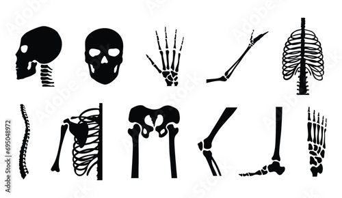Human bones orthopedic and skeleton icon set, bone x-ray image of human joints, anatomy skeleton flat design vector illustration