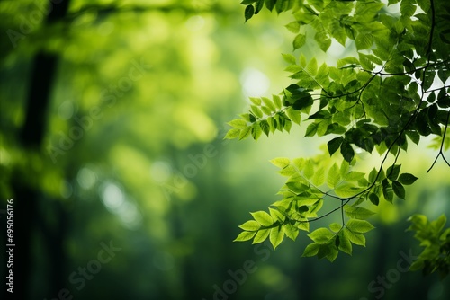 blurred bokeh background with green leaves concept of ecology and healthy environment