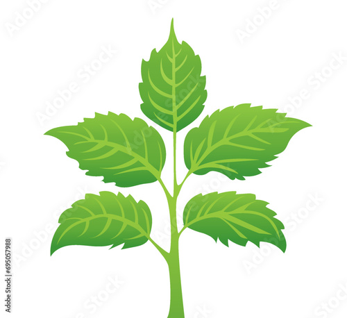 green leaves on a white background, for logos, designs, for the symbolism of the green planet