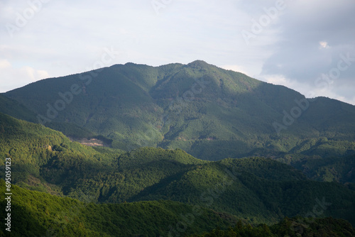 Wild forest nature in Wakayama mountains in the Kumano Kodo trail in Japan. © Leckerstudio