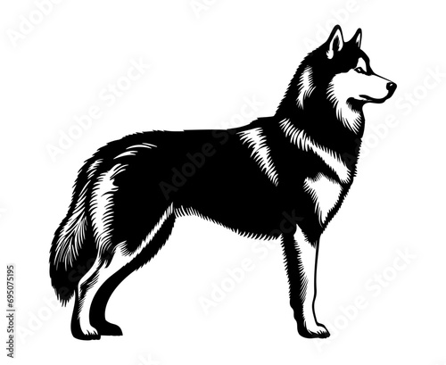 Husky Dog monochrome clip art. Vector illustration