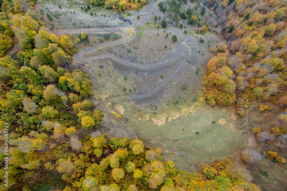 Drone aerial of autumn forest road. Fall season scenery