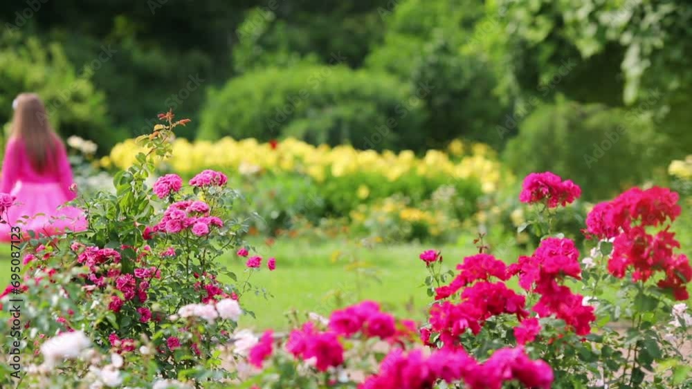 Back of little girl in pink lush skirt walking among flowers Back of little girl in pink lush skirt walking among flowers