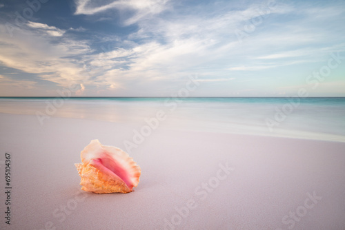 Beautiful pink conch seashell on sandy beach in the Bahamas photo