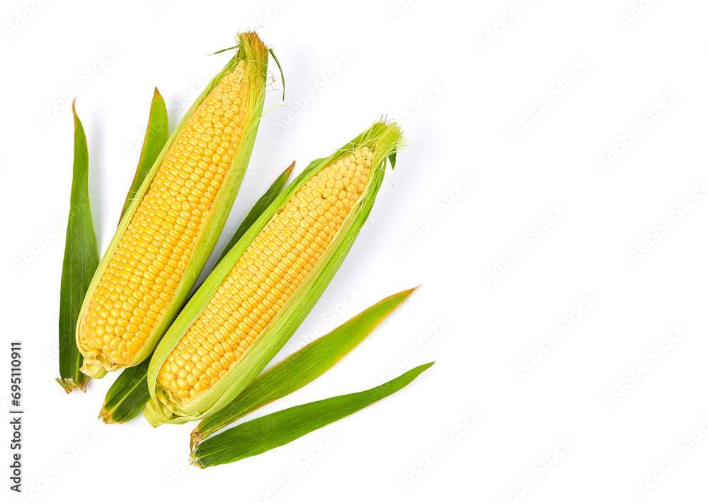 Obraz premium Fresh Corn Harvest Vegetables Top View Green Leaf Isolated