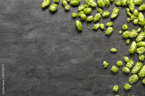 Fresh green hops on black background photo