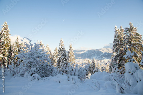 winter mountain landscape in the Alps with snow covered fir trees © Melinda Nagy