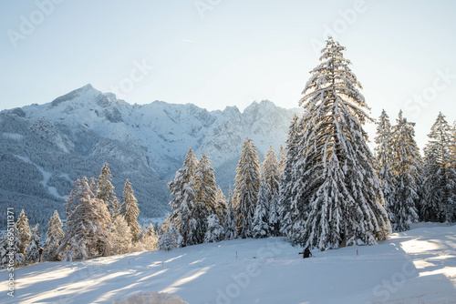 winter mountain landscape in the Alps with snow covered fir trees © Melinda Nagy