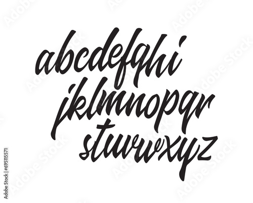 Vector Hand Drawn Alphabet. Brush Paint Letters. Decorative script typography. 