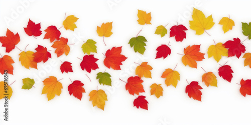 A Group of Colorful Leaves on a White Background